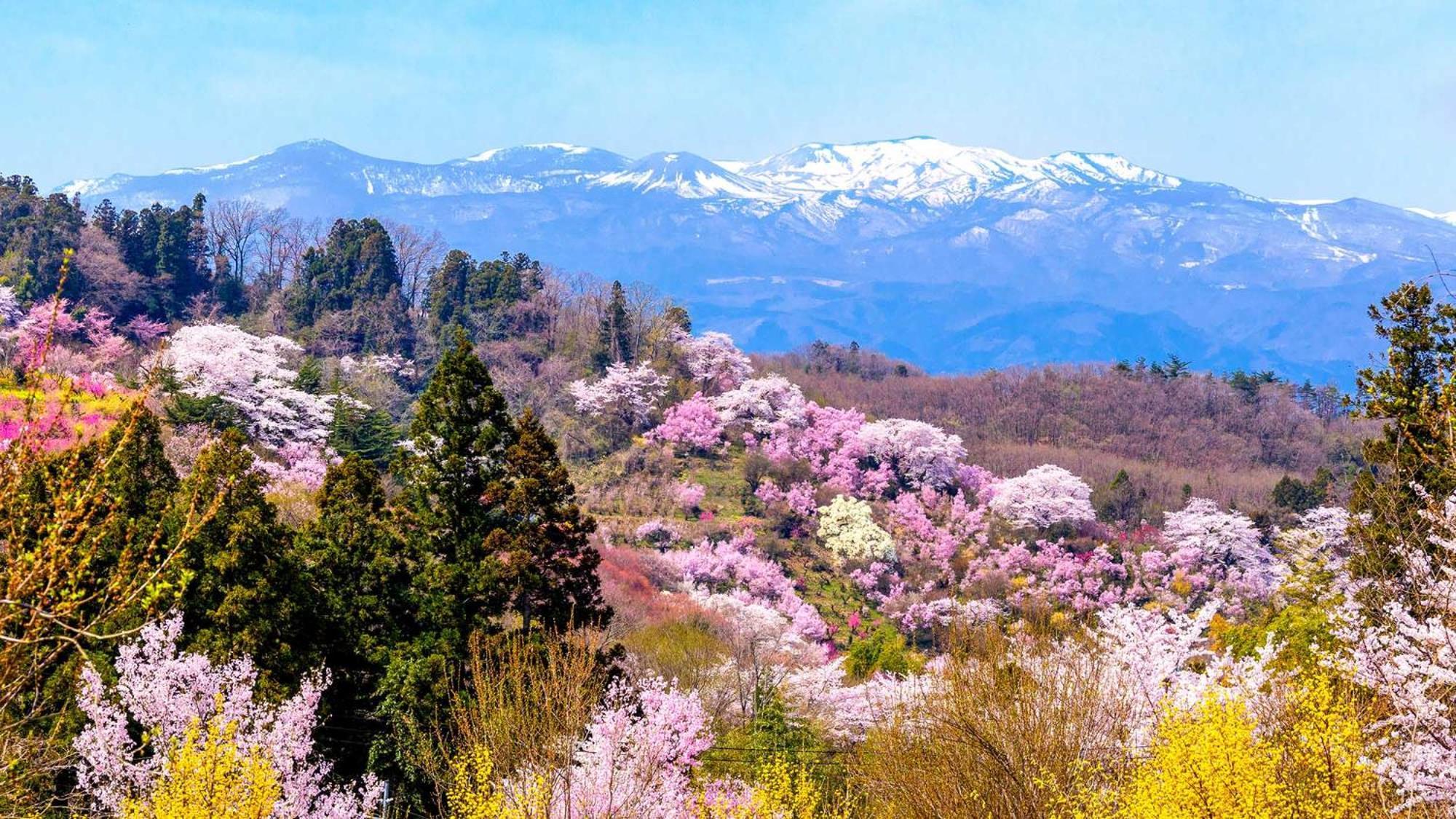 Toyoko Inn Fukushima Eki Nishi Guchi Εξωτερικό φωτογραφία